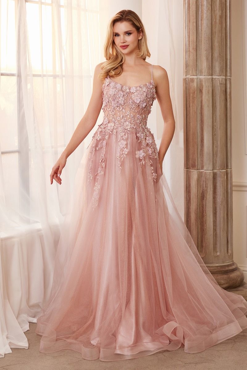 Floral Applique A-Line Gown
