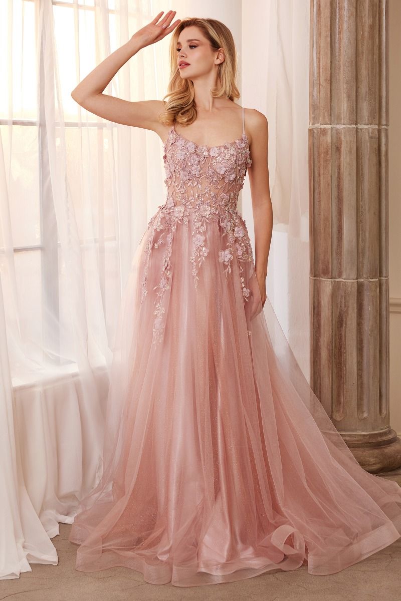 Floral Applique A-Line Gown