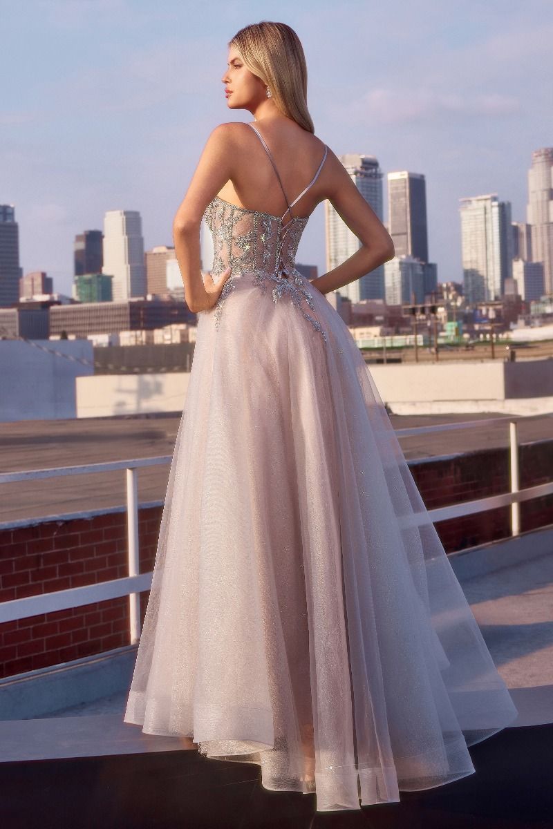 A-Line Layered Tulle Gown & Lace Embellished Bodice