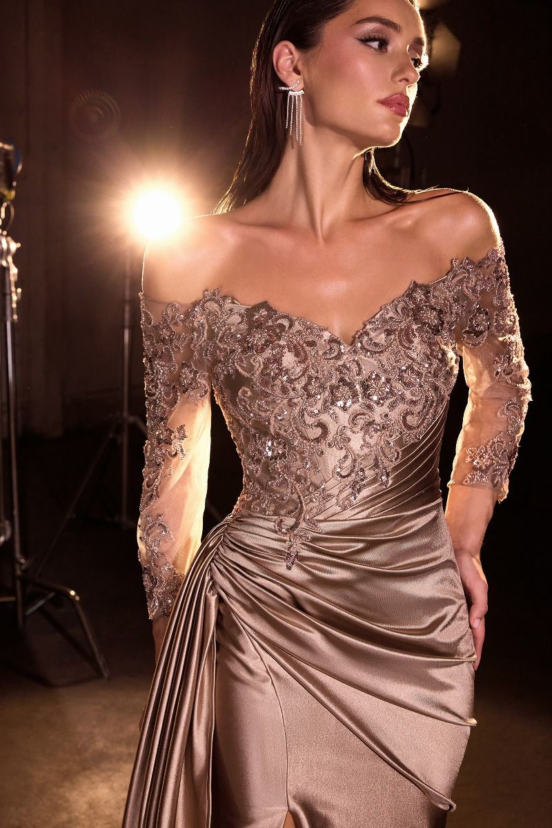 Long Sleeve Lace & Satin Fitted