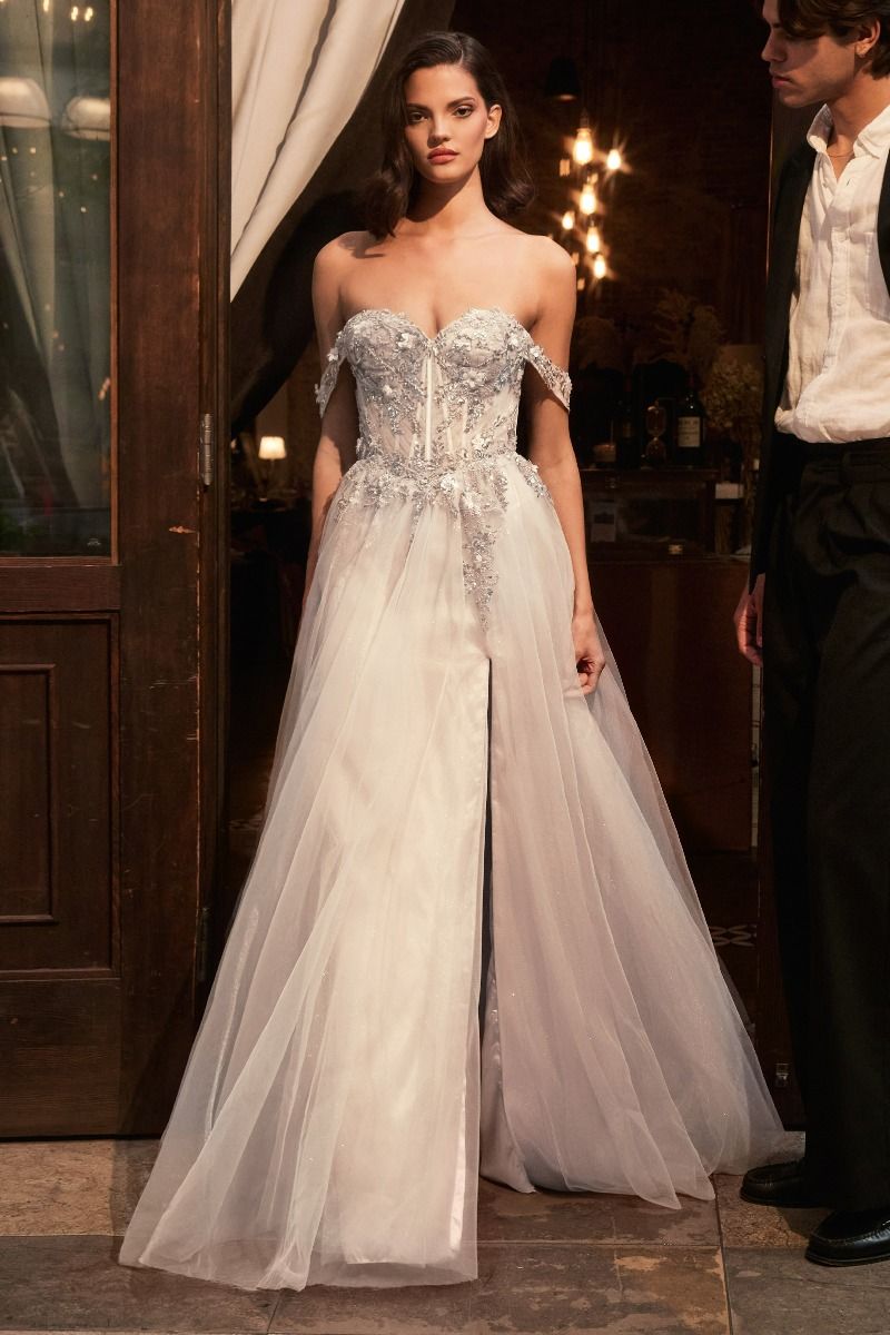 Off The Shoulder A-Line Lace & Tulle Wedding Dress