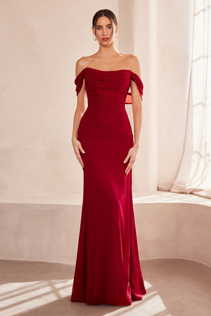 Off The Shoulder Round Neck Chiffon Fitted Dress