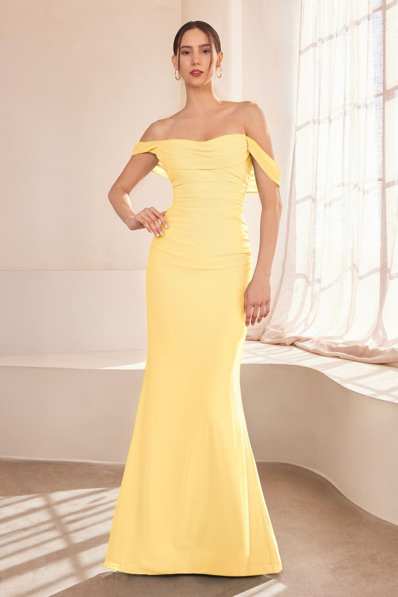 Off The Shoulder Round Neck Chiffon Fitted Dress