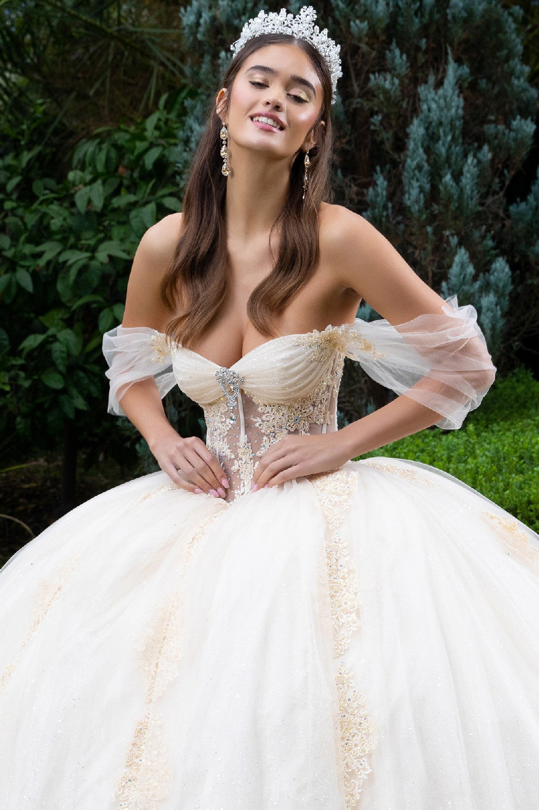 جوهرة 3-D فراشة زين قبالة الكتف شبكة ثوب Quinceanera 