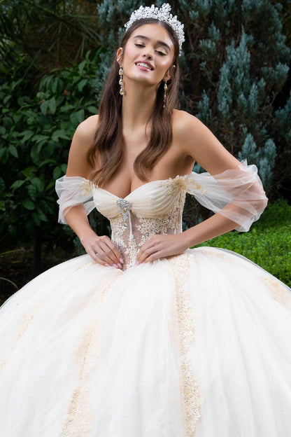 جوهرة 3-D فراشة زين قبالة الكتف شبكة ثوب Quinceanera 