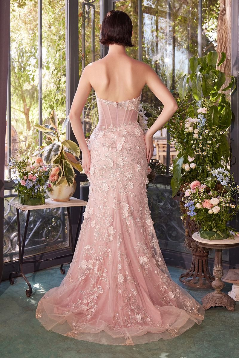 Sheer Plated Corset Gown