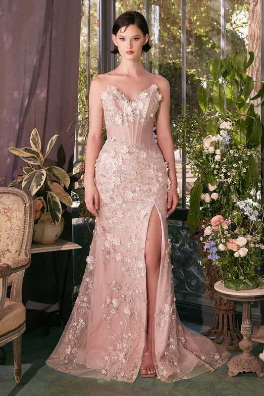 Sheer Plated Corset Gown