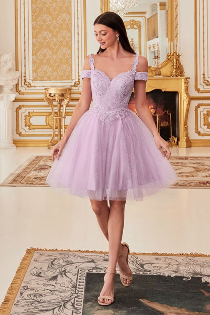 Off The Shoulder Lace Cocktail Dress