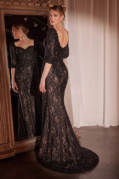 Lone Sleeve Lace Fitted Dress & Overskirt