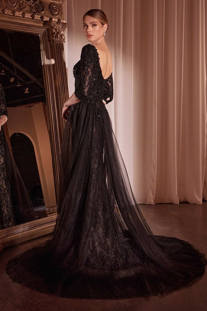 Lone Sleeve Lace Fitted Dress & Overskirt