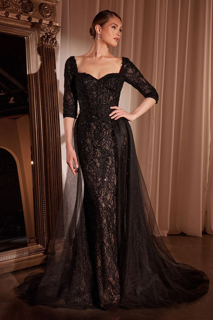 Lone Sleeve Lace Fitted Dress & Overskirt
