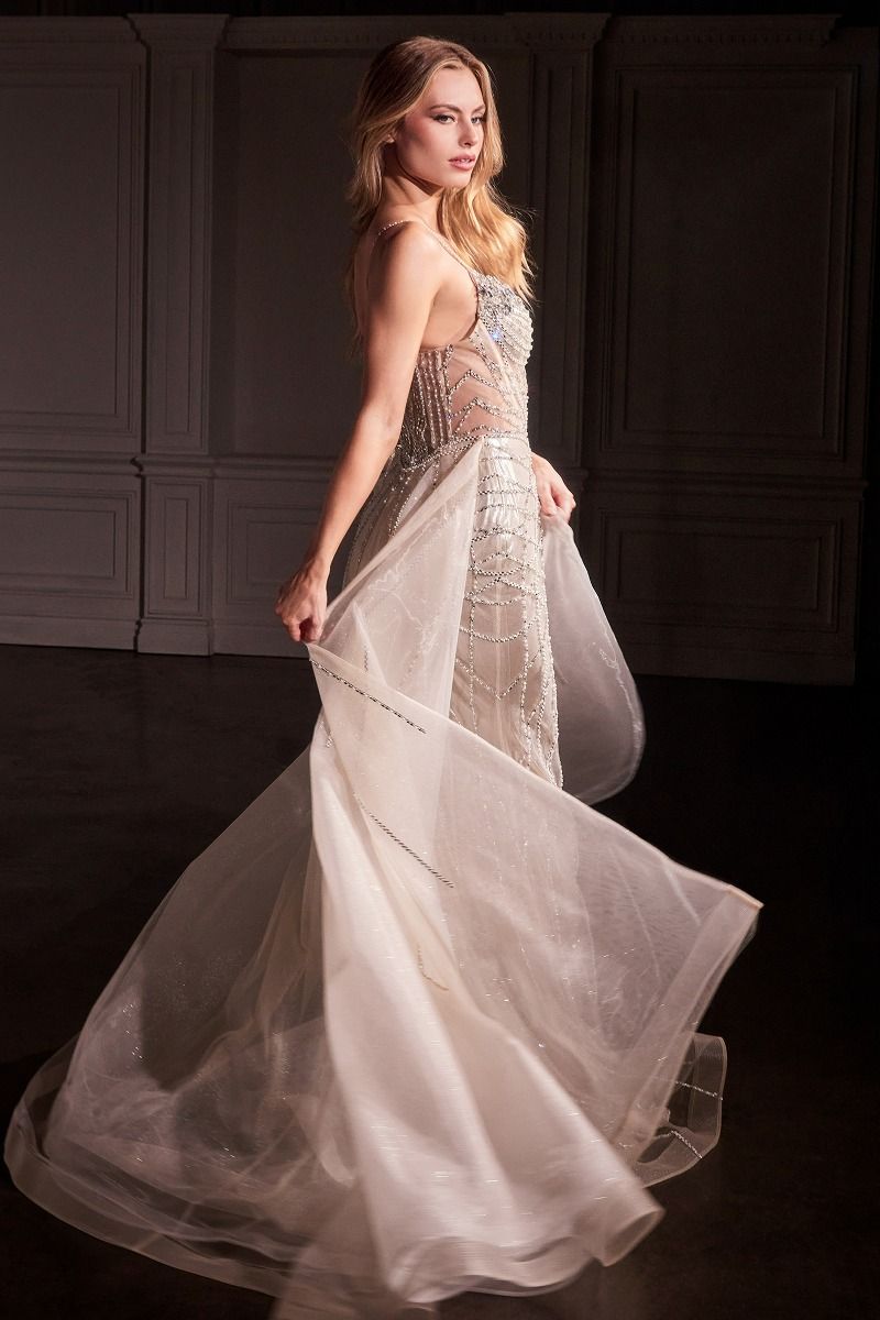 Fit & Flare Crystal Embellished Gown & Overskirt