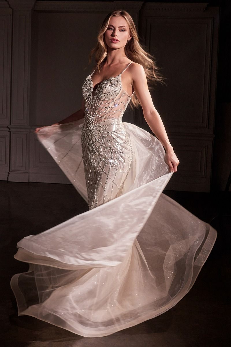 Fit & Flare Crystal Embellished Gown & Overskirt