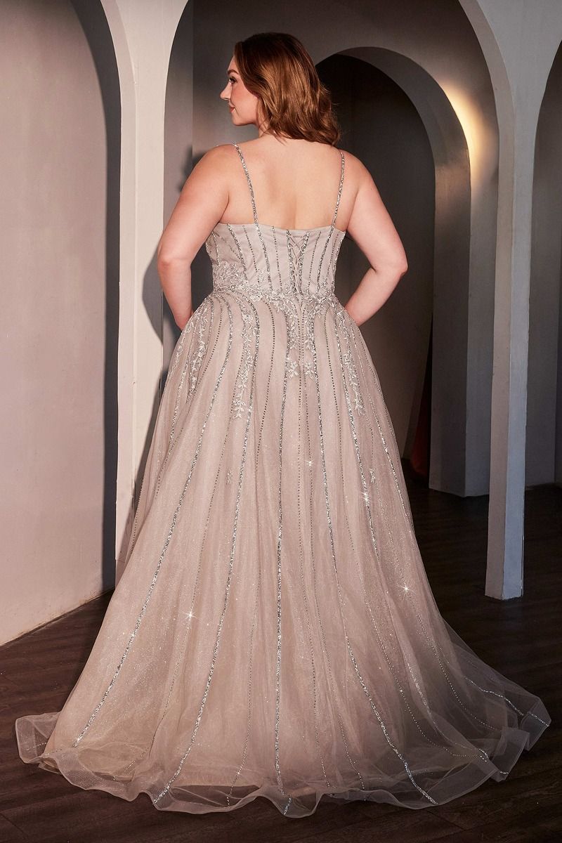 A-Line Layered Tulle Plus Size Dress