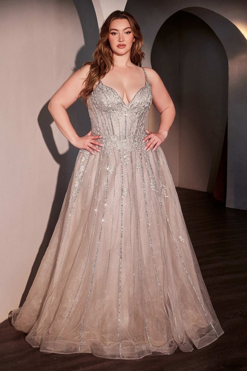 A-Line Layered Tulle Plus Size Dress
