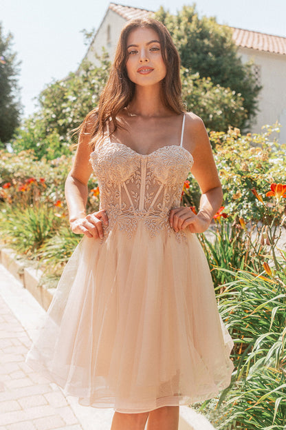 Floral Embroidery Embellished Glitter Mesh Sweetheart Neckline A-Line Homecoming Dress