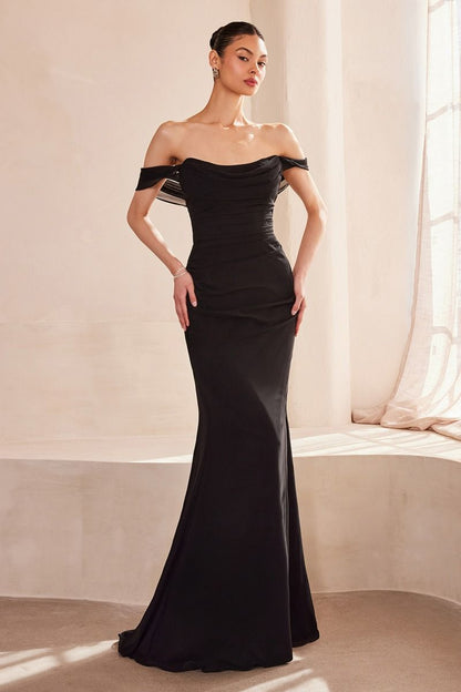 Off The Shoulder Round Neck Chiffon Fitted Dress