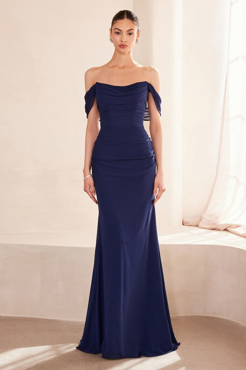 Off The Shoulder Round Neck Chiffon Fitted Dress