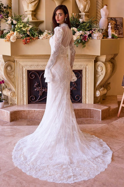Versitile Fitted Lace Bridal Gown