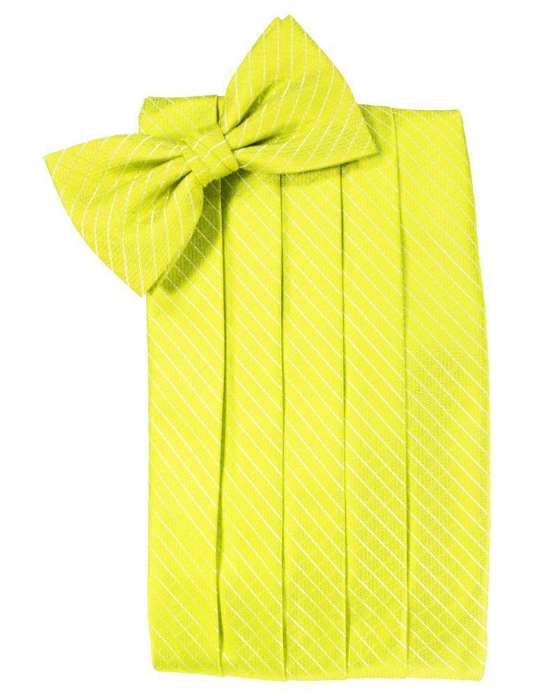 Palermo Cummerbund