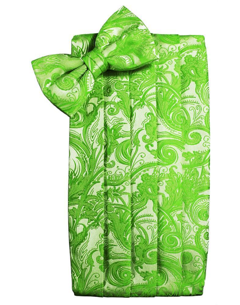 Tapestry Cummerbund