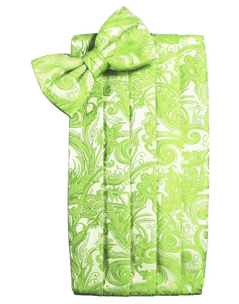 Tapestry Cummerbund