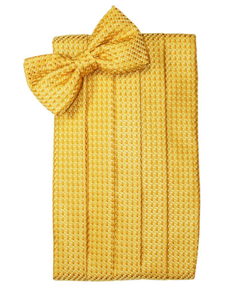 Venetian Cummerbund