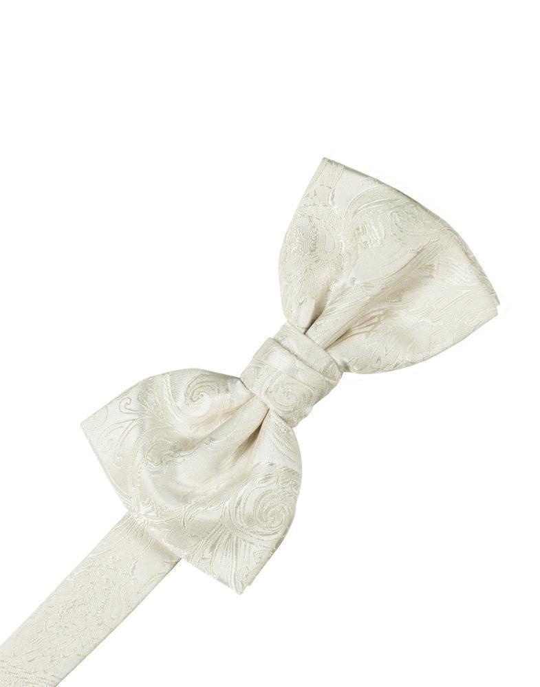 Paisley Silk Bow Tie