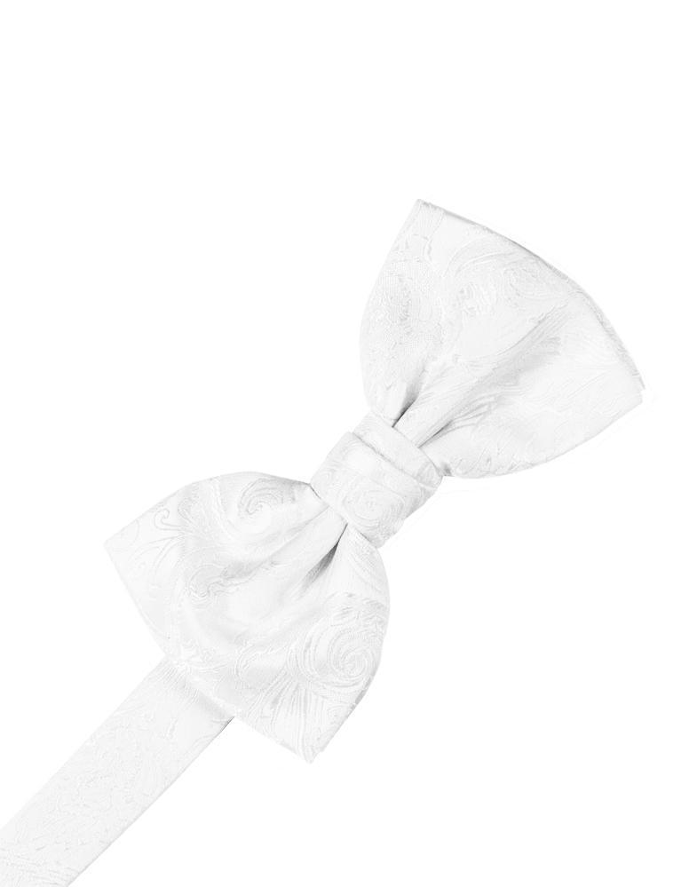 Paisley Silk Bow Tie